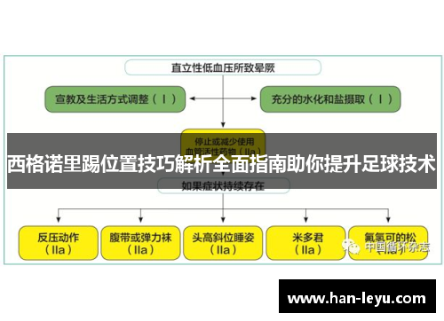 西格诺里踢位置技巧解析全面指南助你提升足球技术